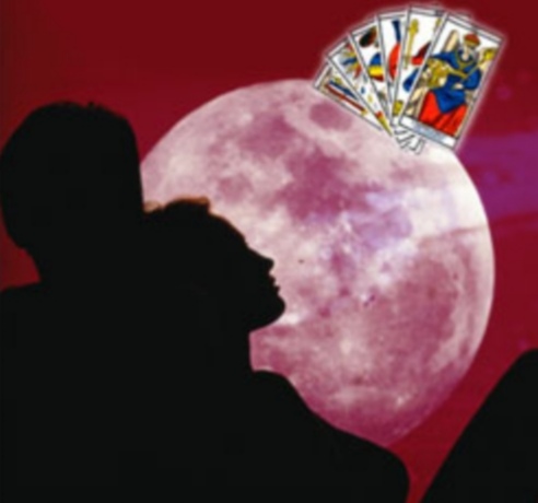 Screenshot_20251126_195826