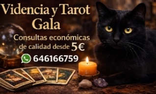 Screenshot_20251220_040944